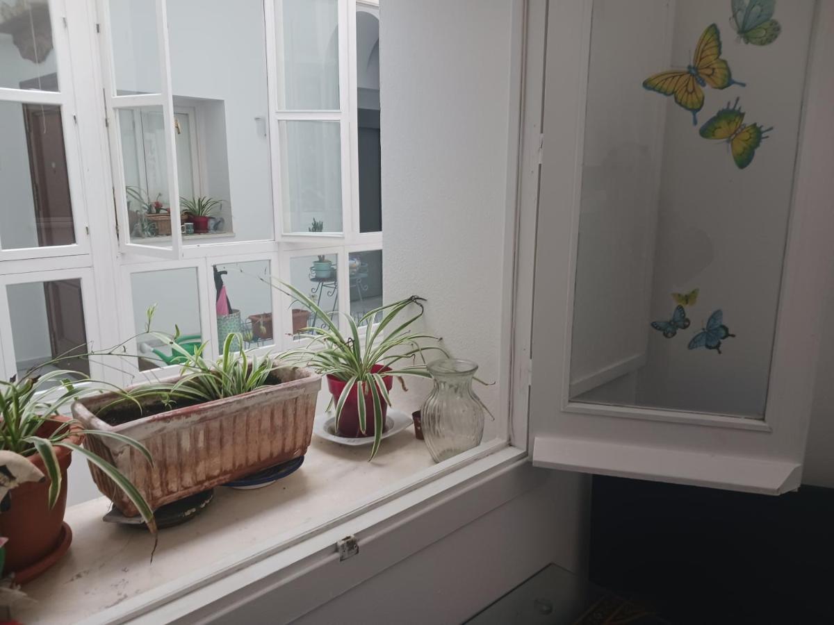Habitacion Privada Con Bano. Cadiz Dış mekan fotoğraf